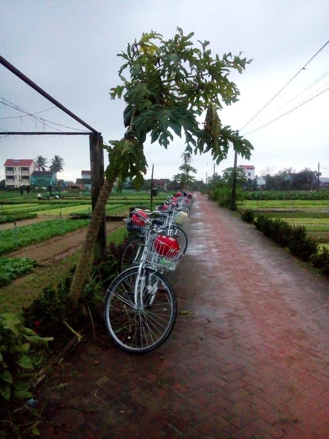 An Bang Beach Town Homestay Hoi An Exterior foto